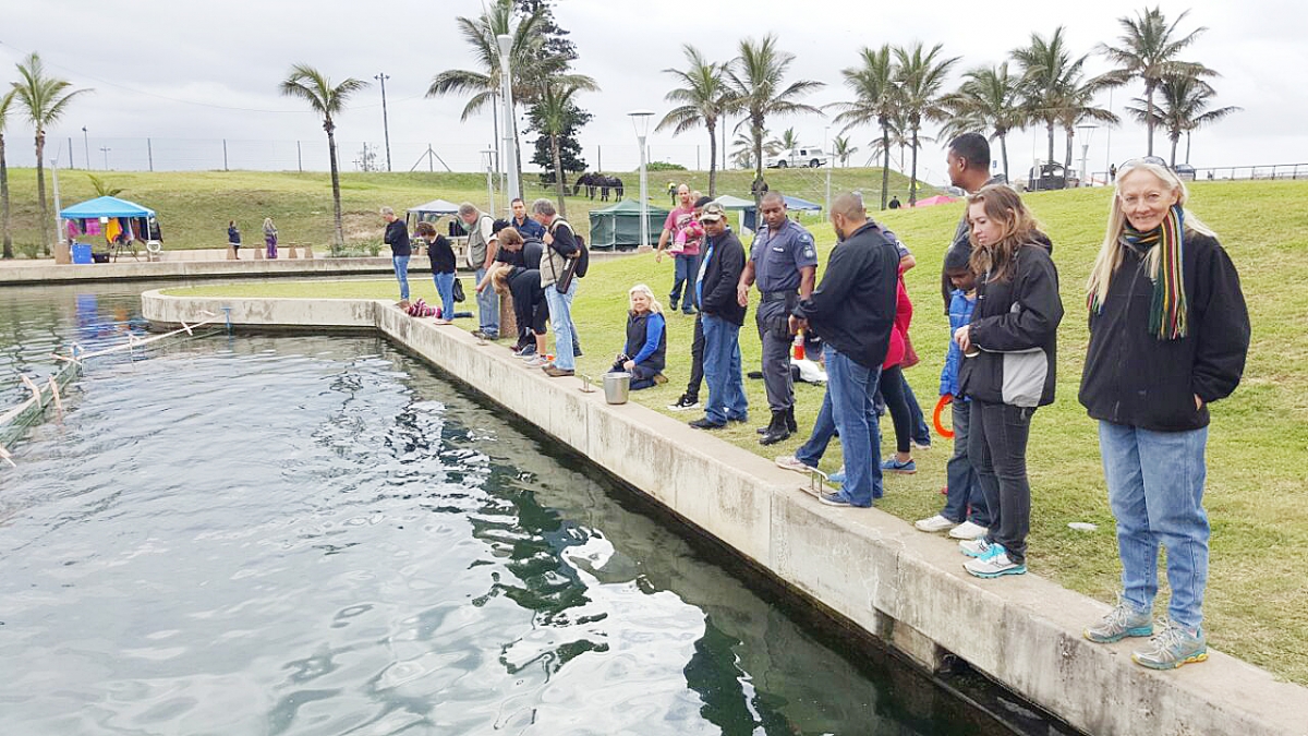Durban Point Winter Festival 2016